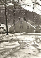 Zell Im Wiesental - Schwanenweiher - Loerrach