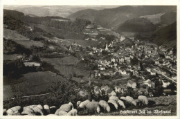 Zell Im Wiesental - Loerrach