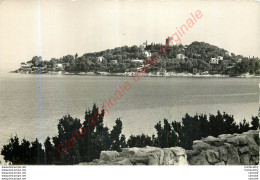 06.  SAINT JEAN CAP FERRAT .  Vue Sur La Pointe St-Hospice . - Saint-Jean-Cap-Ferrat