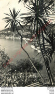 06.  VILLEFRANCHE Sur MER Dans Son Décor Méditerranéen . - Villefranche-sur-Mer