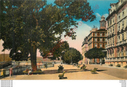 64.  PAU .  Boulevard Des Pyrénées . - Pau