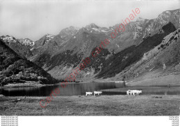 65.  Le Lac D'Estaing . Pics De La Paloumere ,  Arrole ,  May ,  Ardoun . - Sonstige & Ohne Zuordnung