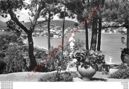 83.  SAINTE MAXIME SUR MER .  La Rade . - Sainte-Maxime