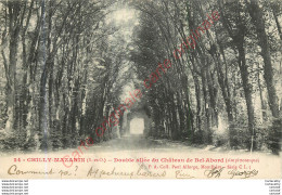 91.   CHILLY MAZARIN . Double Allée Du Château De Bel-Abord . - Chilly Mazarin