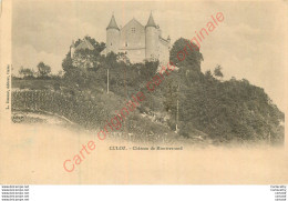 01.  CULOZ .   Château De Montverrand . - Ohne Zuordnung