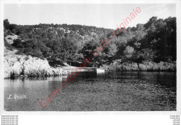 13.  CASSIS SUR MER .  Calanque De PORT PIN . - Cassis