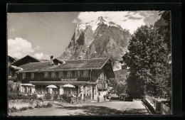 AK Grindelwald, Gasthof Zum Steinbock Mit Strasse  - Grindelwald
