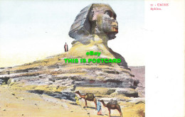 R568477 11. Caire. Sphinx. Egypte - World