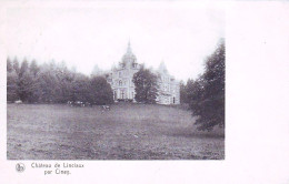 Environs De CINEY - Chateau De Linciaux - Ciney