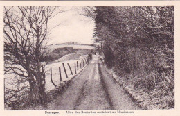 BASTOGNE -  Allée Des Rochettes Accedant Au Mardasson - Bastogne