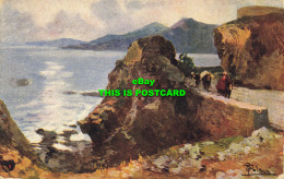 R569140 Painting. Unknown Place. Sea. Cliffs. Mountains. Pala. Proprieta Art. Ri - Mundo