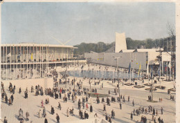 BRUXELLES  EXPOSITION DE 1958 PAVILLON DES ETATS UNIS ET DU SAINT SIEGE - Bruselas (Ciudad)