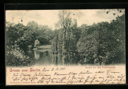 AK Berlin, Partie Aus Dem Friedrichshain, Teich  - Friedrichshain