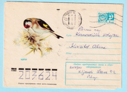 USSR 1977.0221. Goldfinch (Carduelis Carduelis). Prestamped Cover, Used - 1970-79