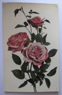 FLEURS - Roses - 1908 - Flores