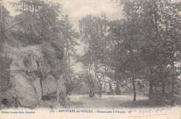 88-BRUYERES EN VOSGES-N°T5085-H/0183 - Bruyeres