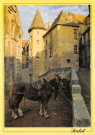 24-SARLAT-N° 4455-B/0363 - Sarlat La Caneda