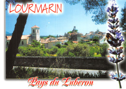 84-LOURMARIN-N° 4455-A/0011 - Lourmarin