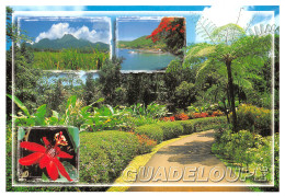 971-GUADELOUPE-N° 4456-B/0219 - Altri & Non Classificati