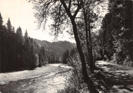 88-LES VOSGES EFFET DE LUMIERE EN MONTAGNE-N° 4456-A/0145 - Sonstige & Ohne Zuordnung