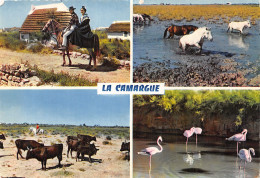 13-LA CAMARGUE-N° 4457-A/0255 - Other & Unclassified