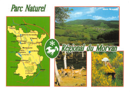 58-PARC REGIONAL DU MORVAN-N° 4456-D/0273 - Sonstige & Ohne Zuordnung