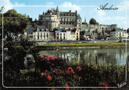 37-AMBOISE-N° 4456-D/0049 - Amboise