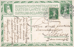 Switzerland Uprated Postal Stationery Ganzsache Red Cross Henri Dunant Bundesfeier RORSCHACH 1917 SILKEBORG Denmark - Stamped Stationery