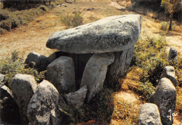 56-CARNAC DOLMEN DE KERAVIAL-N° 4458-A/0195 - Carnac