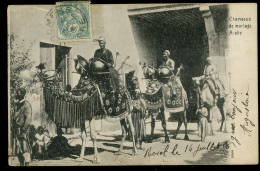 Chameaux De Mariage Arabe 1909 - Autres & Non Classés