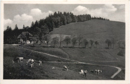 Wiedener Eck Schwarzwald - Lörrach