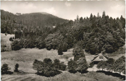 Belchen Im Schwarzwald - Lörrach