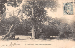 77-FONTAINEBLEAU LA FORET-N°T5090-E/0227 - Fontainebleau