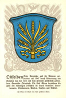 13707595 Obfelden ZH Wappen Serie Zuercher Gemeindewappen Serie XVI Nr. 79  - Autres & Non Classés