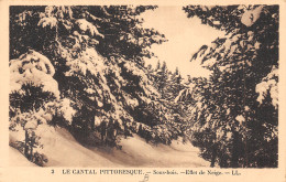 15-CANTAL-N°T5090-H/0105 - Sonstige & Ohne Zuordnung