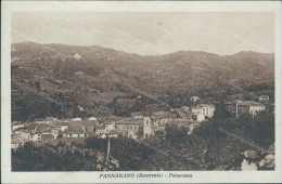 V804 Cartolina Pannarano Panorama  Provincia Di Benevento Campania - Benevento