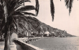 06-MENTON-N°T5091-E/0305 - Menton