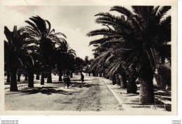 83 BANDOL Sur MER N°5 Avenue Des Palmiers VOIR DOS Librairie Provençale - Bandol