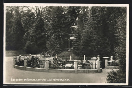 AK Bad Soden Am Taunus, Schwefel- Und Wilhelmsbrunnen  - Taunus