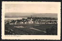 AK Erbach Im Rheingau, Ortspartie  - Rheingau