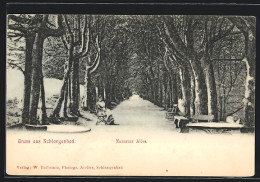 AK Schlangenbad, Nassauer Allee Mit Frau Im Winter  - Schlangenbad