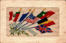 N°1499 W -cpa Brodée Souvenir De France - Embroidered