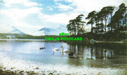 R568905 Derwentwater. Friars Crag. Published In Lakeland. Causey Pike - Welt