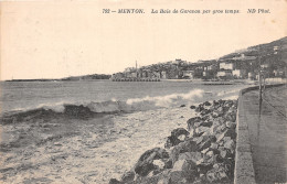 06-MENTON-N°T5093-G/0017 - Menton