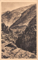 06-GORGES DE DALUIS-N°4464-H/0087 - Sonstige & Ohne Zuordnung