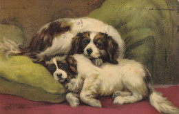 Cagnolini A Riposo 1923 - Honden