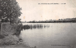 72-CHATEAU DU LOIR-N°4465-C/0309 - Chateau Du Loir