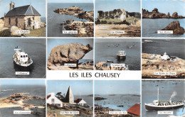 50-LES ILES CHAUSEY-N°4465-G/0327 - Autres & Non Classés