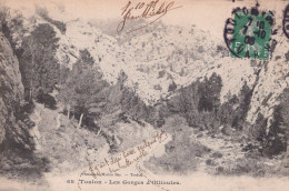 83 / TOULON / LES GORGES D OLLIOULES / BAR 68 - Ollioules