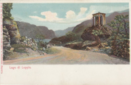 TRENTO-LAGO DI LOPPIO-CARTOLINA NON VIAGGIATA  1900-1904-RETRO INDIVISO- - Trento